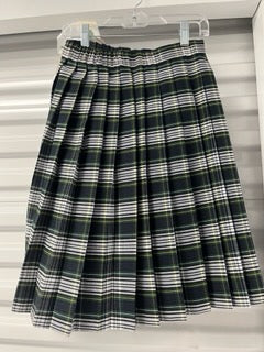 Plaid Skirt